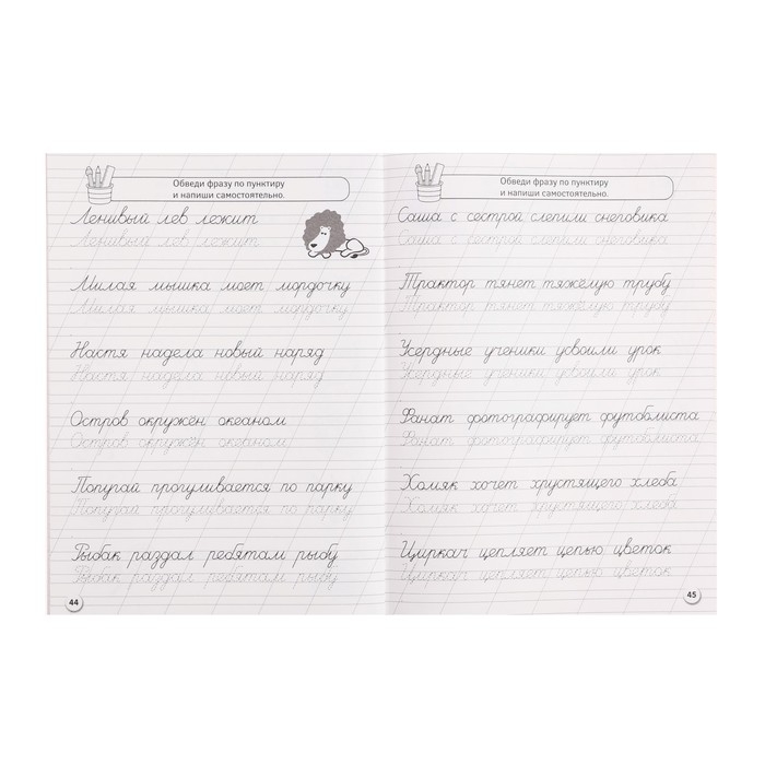 100 заданий &laquo;Готовим руку к письму&raquo;