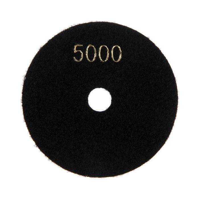 Алмазный гибкий шлифовальный круг ТУНДРА Алмазный гибкий шлифовальный круг ТУНДРА "Черепашка", для мокрой шлифовки, 100 мм, № 5000