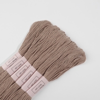 Набор ниток мулине №841, 8 &plusmn; 1 м, 6 шт, цвет бежево-коричневый