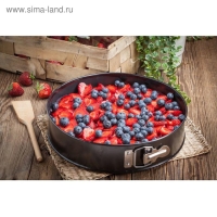 Форма для выпечки Доляна &laquo;Элин. Круг&raquo;, d=26 см, съёмное дно, антипригарное покрытие, цвет чёрный