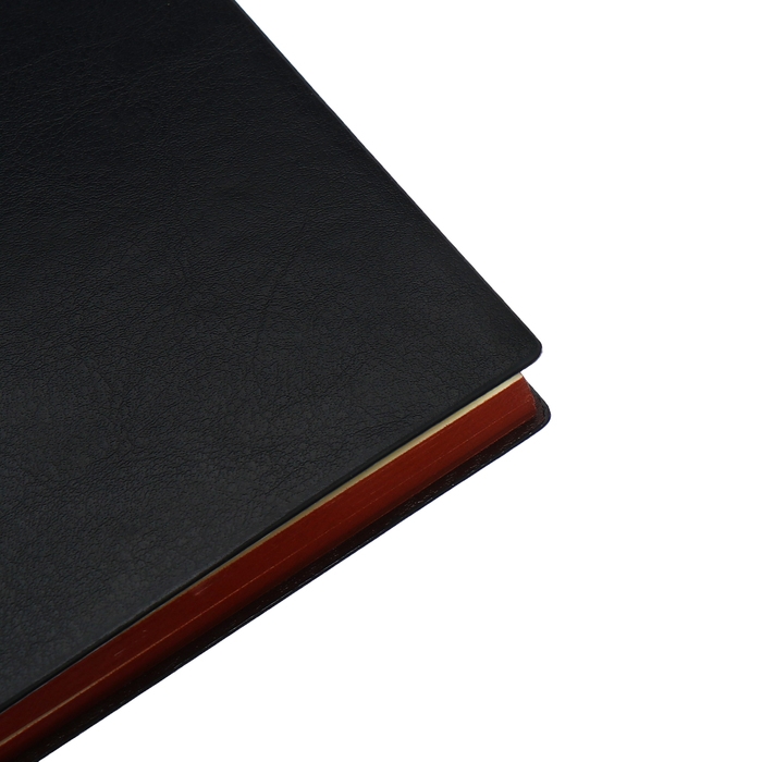 Органайзер, А6, 116 листов, клетка, обложка кожзам, коричневый срез, черный Органайзер, А6, 116 листов, клетка, обложка кожзам, коричневый срез, черный