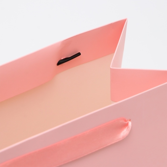 Пакет ламинированный «Сирень», ML 23 × 27 × 11.5 см Пакет ламинированный «Сирень», ML 23 × 27 × 11.5 см