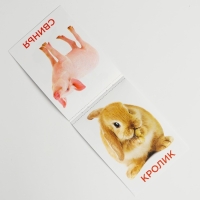 Развивающая игра на липучках &laquo;&lrm;Изучаем мир домашних животных&raquo;, методика Домана, с обучающими карточками по методике Глена Домана