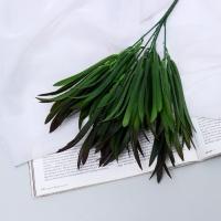 Букет "Эстрагон галант" 30 см, микс Букет "Эстрагон галант" 30 см, микс