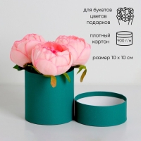 Шляпная коробка, изумрудная, 10 х 10 см Шляпная коробка, изумрудная, 10 х 10 см