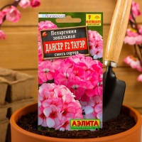 Семена цветов Пеларгония "Дансер Тауэр", смесь окрасок, F2, 5 шт. Семена цветов Пеларгония "Дансер Тауэр", смесь окрасок, F2, 5 шт.