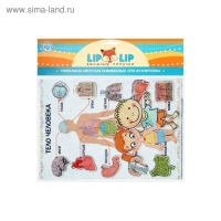 Дидактический набор с игровым полем &laquo;Тело человека&raquo;, 27 деталей