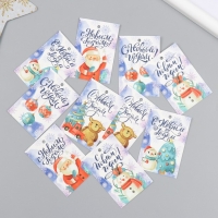 Бирка картон "Снежинка" набор 10 шт (5 видов) 4х6 см Бирка картон "Снежинка" набор 10 шт (5 видов) 4х6 см