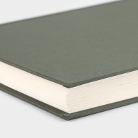 Интервью планинг А5, 144 листа, твердая обложка, текстиль &laquo;Зеленый&raquo;