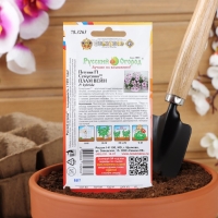 Семена цветов Петуния супертуния "Плам вайн" F1, 6 шт Семена цветов Петуния супертуния "Плам вайн" F1, 6 шт