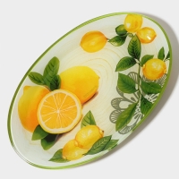 Блюдо сервировочное стеклянное овальное Доляна «Дольче», 24,5×15×2 см Блюдо сервировочное стеклянное овальное Доляна «Дольче», 24,5×15×2 см