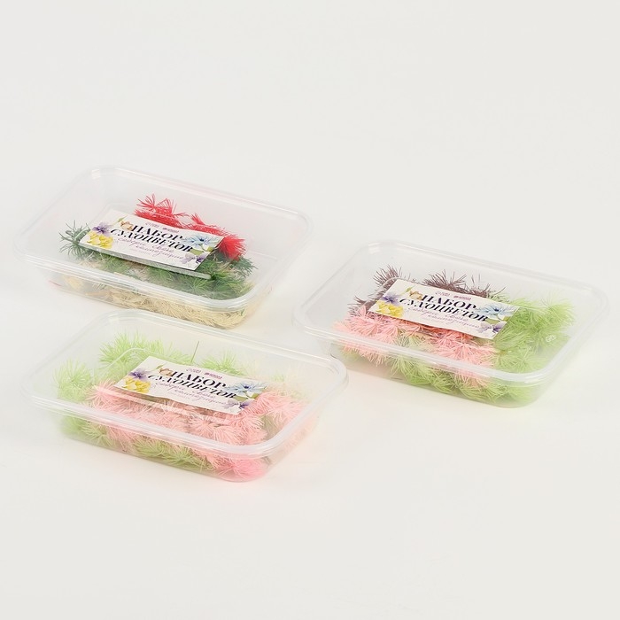 Набор сухоцветов &laquo;Яркий день&raquo;, цвет МИКС