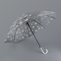 Зонт - трость полуавтоматический &laquo;Ромашка&raquo;, 8 спиц, R = 45/55 см, D = 110 см, цвет прозрачный/белый