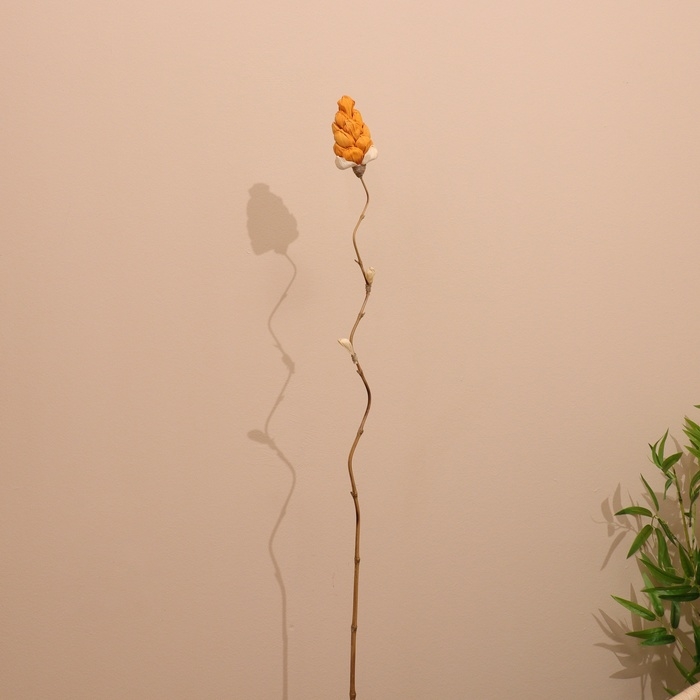 Сухоцвет на бамбуковом стебле 150 см оранжевый