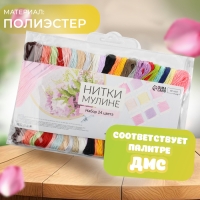 Набор ниток мулине, №3/4, 8 ± 1 м, 24 шт Набор ниток мулине, №3/4, 8 ± 1 м, 24 шт