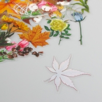 Наклейки для творчества пластик PVC "Разнообразие природы" набор 60 шт 10х14 см