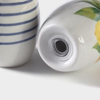 Набор для специй Доляна &laquo;Лимон&raquo;, 2 предмета: солонка 130 мл, перечница 130 мл