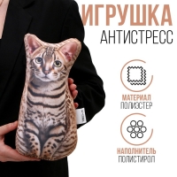 Антистресс-игрушка, кот «Бенгал» Антистресс-игрушка, кот «Бенгал»