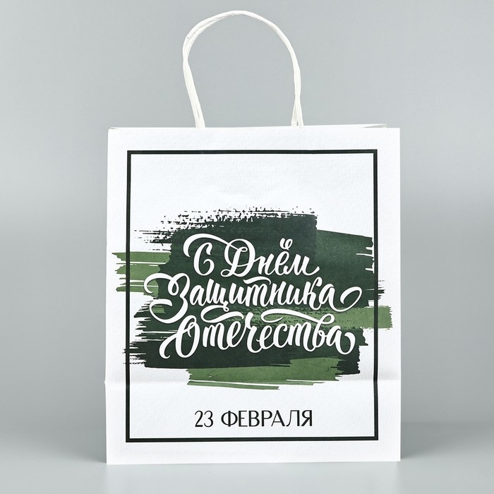 Пакет подарочный крафт &laquo;23 февраля&raquo;, 25 х 22 х 12 см