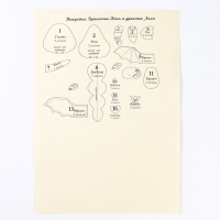 Набор для изготовления текстильной игрушки &laquo;Дракончик Боня и дракоша Ляля&raquo; рост &mdash; 12 см