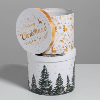 Набор подарочных коробок 5 в 1 &laquo;Белое золото&raquo;, 13 х 14‒19.5 х 22 см, Новый год