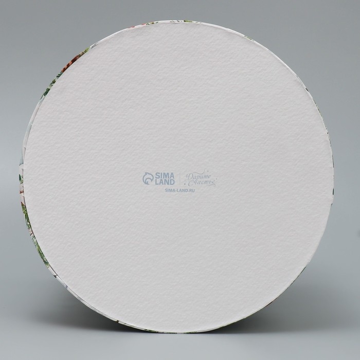 Набор подарочных коробок 5 в 1 &laquo;Чудес и волшебства&raquo;, 13 х 14 ‒ 19.5 х 22 см, Новый год