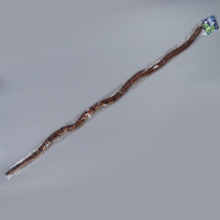 Деревянная игрушка &laquo;Змея&raquo;, 100 &times; 2 &times; 2 см