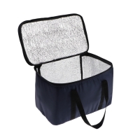 Термосумка Cartage Т-17, синяя, 18 л, 35х21х24 см Термосумка Cartage Т-17, синяя, 18 л, 35х21х24 см