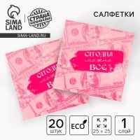 Салфетки бумажные 25*25см "Сегодня можно всё" (набор 20 шт) Салфетки бумажные 25*25см "Сегодня можно всё" (набор 20 шт)
