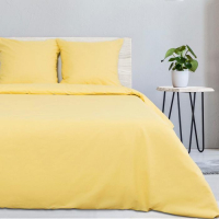 Постельное бельё Этель евро &laquo;Солнечное утро&raquo; 200&times;217, 240*220, 70&times;70-2 шт, поплин 125 г/м&sup2;