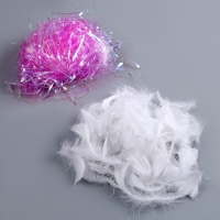 Набор для творчества и декора «Перья белые + наполнитель», цвет фуксия Набор для творчества и декора «Перья белые + наполнитель», цвет фуксия