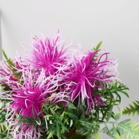 Бонсай в горшке "Тилландсия" 10х17 см, микс Бонсай в горшке "Тилландсия" 10х17 см, микс