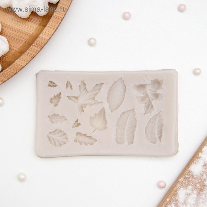 Молд Доляна «Гербарий», силикон, 8×5×0,8 см, цвет МИКС Молд Доляна «Гербарий», силикон, 8×5×0,8 см, цвет МИКС