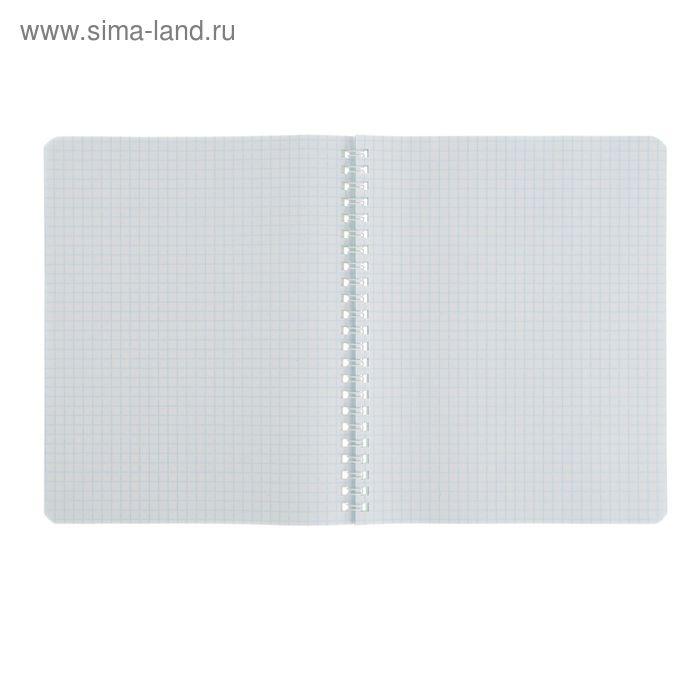 Тетрадь 48 листов клетка на гребне Wild Nature, картонная обложка, МИКС