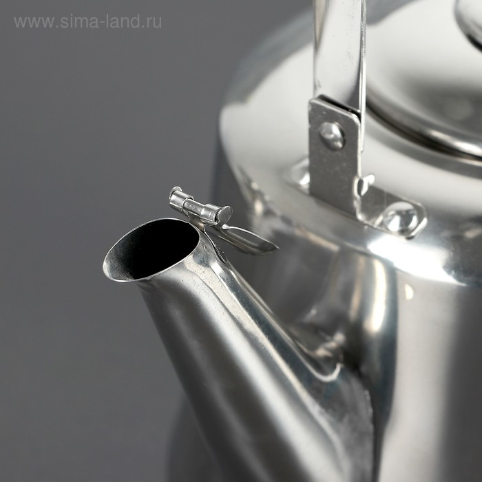 Чайник из нержавеющей стали &laquo;Чайковский&raquo;, 3 л, цвет хромированный