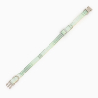 Ошейник "Мягкость", полиэстер, с бубенчиком, 34 х 1 см, зелёный Ошейник "Мягкость", полиэстер, с бубенчиком, 34 х 1 см, зелёный