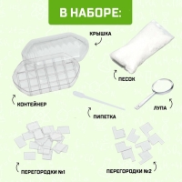 Набор для опытов &laquo;Лабиринт для муравьёв&raquo;