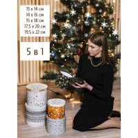 Набор подарочных коробок 5 в 1 &laquo;Изморозь&raquo;, 13 х 14‒19.5 х 22 см 3580137, Новый год