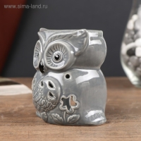 Аромалампа керамика "Совёнок" МИКС 9х7,7х7 см Аромалампа керамика "Совёнок" МИКС 9х7,7х7 см