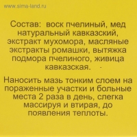 Мазь «Монастырская Живица с Мухомором». Ранозаживляющая. Стекло. 28 мл. Мазь «Монастырская Живица с Мухомором». Ранозаживляющая. Стекло. 28 мл.