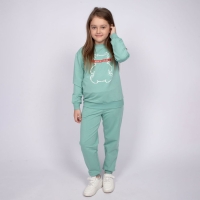 Комплект для девочки (джемпер, брюки), цвет пыльная мята, рост 110 см