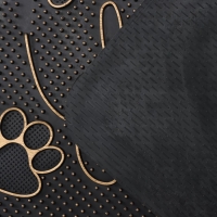 Коврик придверный Доляна «Лапка», цвет МИКС Коврик придверный Доляна «Лапка», цвет МИКС