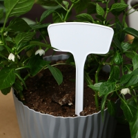 Таблички садовые для маркировки, 20 см, набор 10 шт., пластик, белые, Greengo Таблички садовые для маркировки, 20 см, набор 10 шт., пластик, белые, Greengo