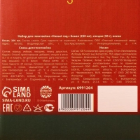 Набор для глинтвейна &laquo;Новый год&raquo;: бокал 250 мл., специи 30 г., носки