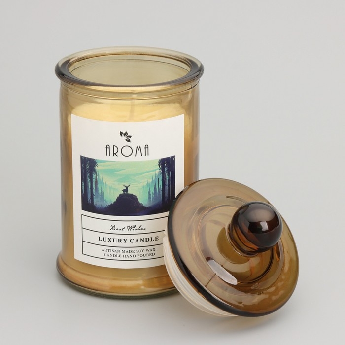 Свеча ароматическая в банке Свеча ароматическая в банке "Цветущий жасмин", 40ч, 95 гр, в коробке