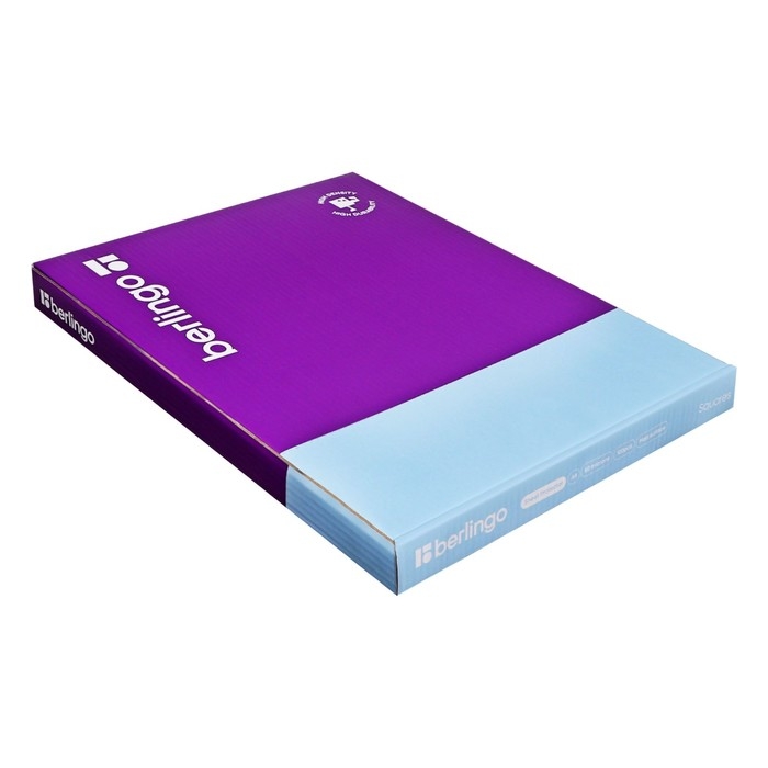 Файл-вкладыш А4 60мкм Berlingo Файл-вкладыш А4 60мкм Berlingo "Squares", матовая, рельеф текстура, 100шт