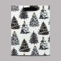 Пакет подарочный новогодний ламинированный &laquo;Зимняя сказка&raquo;, MS 23 x 18 х 10 см