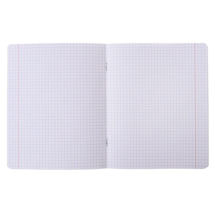 Тетрадь 48 листов в клетку Brilliant collection, обложка мелованный картон, ВД-лак, тиснение фольгой, блок 65г/м2, МИКС Тетрадь 48 листов в клетку Brilliant collection, обложка мелованный картон, ВД-лак, тиснение фольгой, блок 65г/м2, МИКС