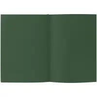 Ежедневник Flat, недатированный, зеленый Ежедневник Flat, недатированный, зеленый