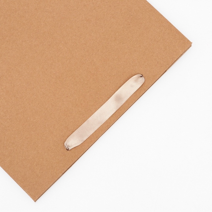 Пакет крафт без печати, 32 х 11 х 25 см 260 г/м2